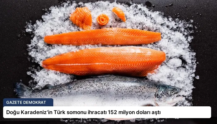 Doğu Karadeniz’in Türk somonu ihracatı 152 milyon doları aştı