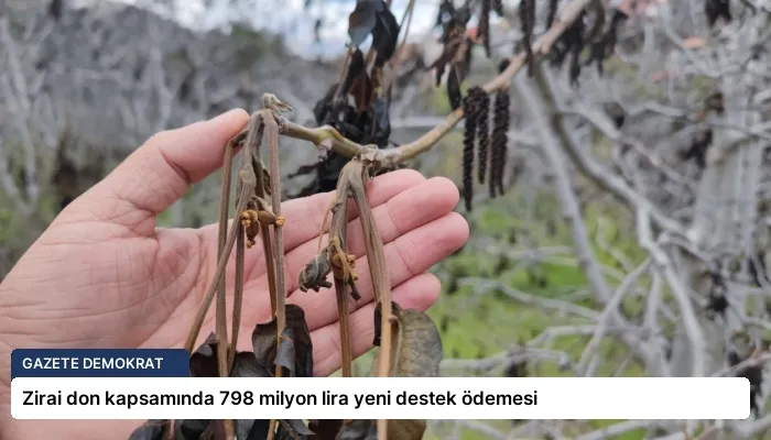 Zirai don kapsamında 798 milyon lira yeni destek ödemesi