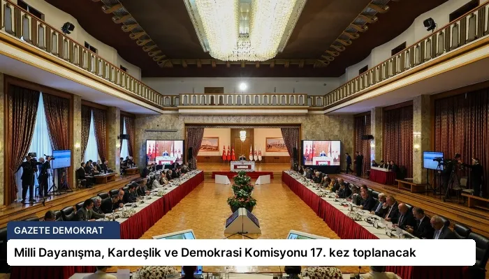 Milli Dayanışma, Kardeşlik ve Demokrasi Komisyonu 17. kez toplanacak