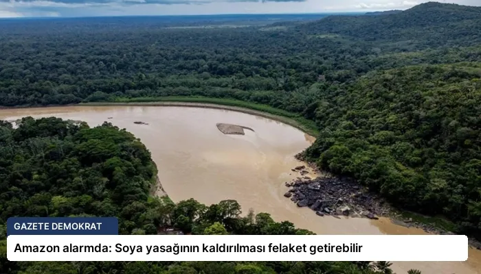 Amazon alarmda: Soya yasağının kaldırılması felaket getirebilir