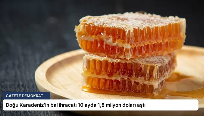 Doğu Karadeniz’in bal ihracatı 10 ayda 1,8 milyon doları aştı