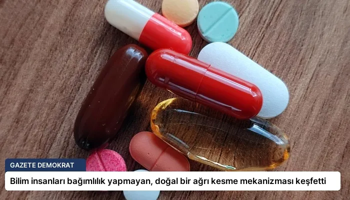 Bilim insanları bağımlılık yapmayan, doğal bir ağrı kesme mekanizması keşfetti