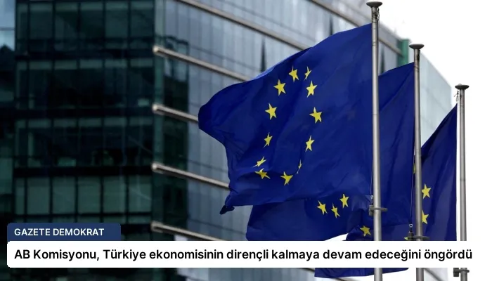 AB Komisyonu, Türkiye ekonomisinin dirençli kalmaya devam edeceğini öngördü