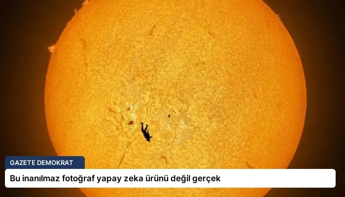 Bu inanılmaz fotoğraf yapay zeka ürünü değil gerçek