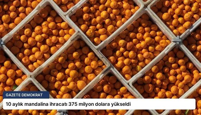 10 aylık mandalina ihracatı 375 milyon dolara yükseldi