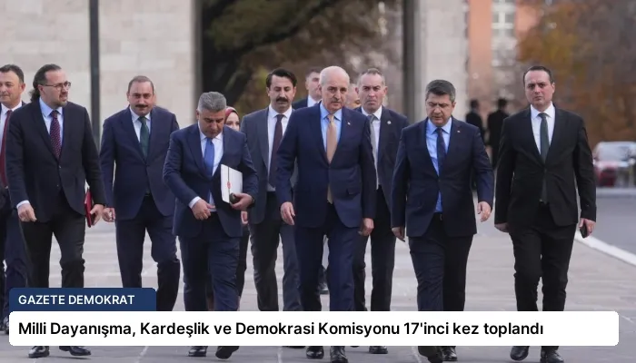 Milli Dayanışma, Kardeşlik ve Demokrasi Komisyonu 17’inci kez toplandı