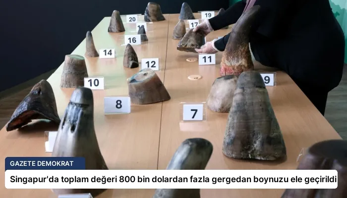 Singapur’da toplam değeri 800 bin dolardan fazla gergedan boynuzu ele geçirildi