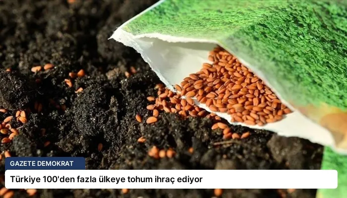 Türkiye 100’den fazla ülkeye tohum ihraç ediyor