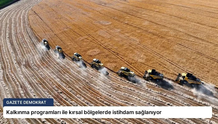 Kalkınma programları ile kırsal bölgelerde istihdam sağlanıyor