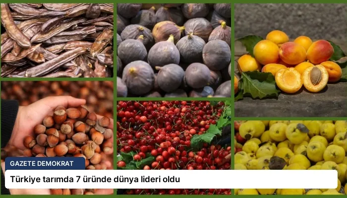 Türkiye tarımda 7 üründe dünya lideri oldu
