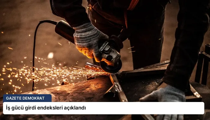 İş gücü girdi endeksleri açıklandı