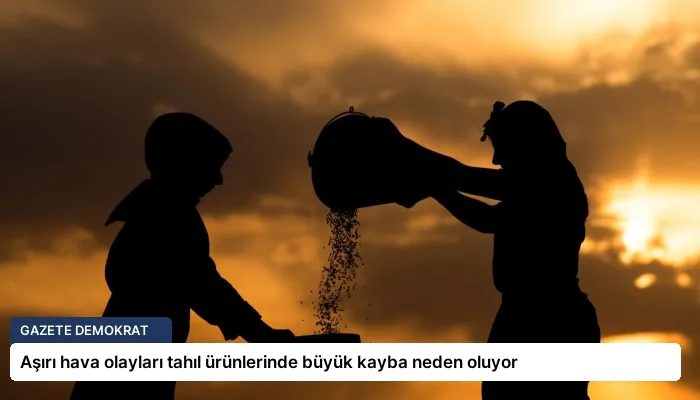 Aşırı hava olayları tahıl ürünlerinde büyük kayba neden oluyor