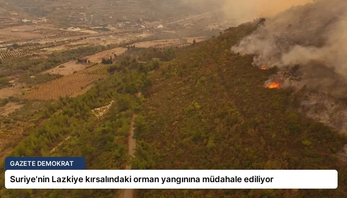 Suriye’nin Lazkiye kırsalındaki orman yangınına müdahale ediliyor