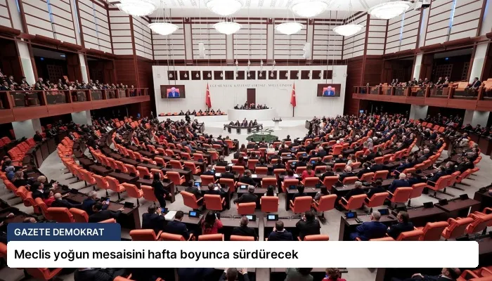 Meclis yoğun mesaisini hafta boyunca sürdürecek