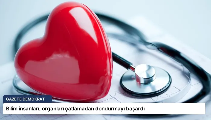 Bilim insanları, organları çatlamadan dondurmayı başardı