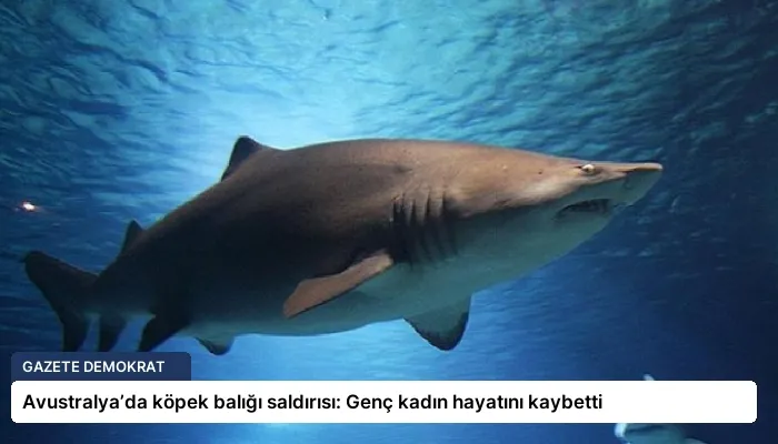 Avustralya’da köpek balığı saldırısı: Genç kadın hayatını kaybetti