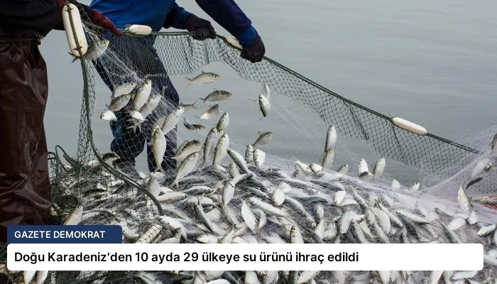 Doğu Karadeniz’den 10 ayda 29 ülkeye su ürünü ihraç edildi