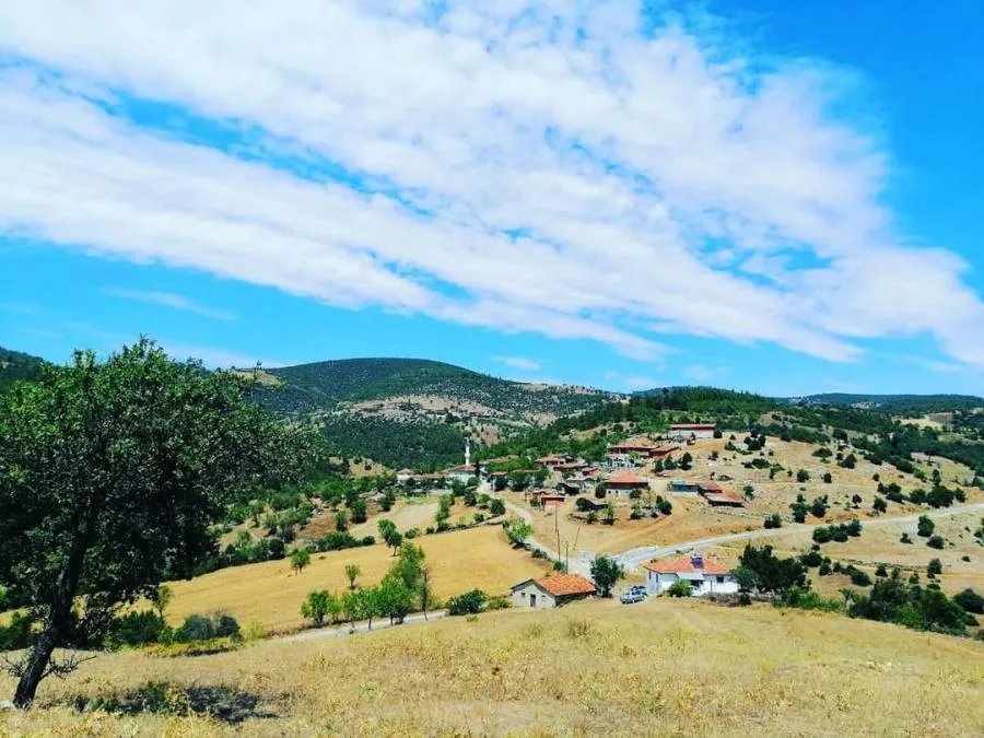 Köyler İçin Hava Durumu Tahminleri: Tarımsal Üretimde Doğru Verinin Önemi