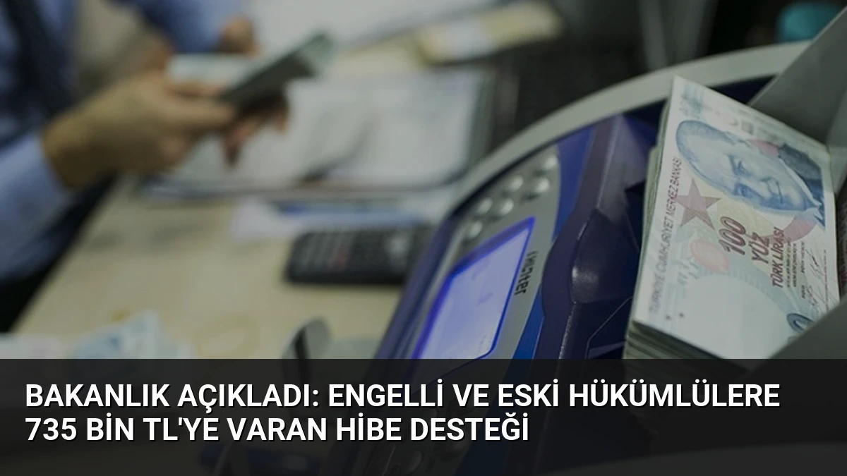Bakanlık Açıkladı: Engelli ve Eski Hükümlülere 735 Bin TL’ye Varan Hibe Desteği