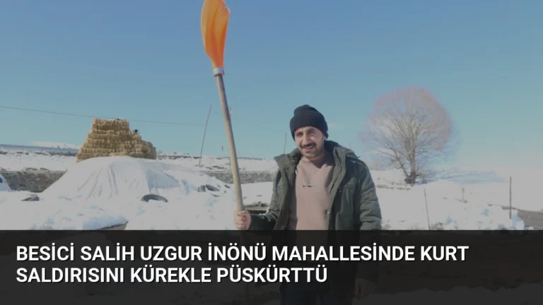 Besici Salih Uzgur İnönü Mahallesinde Kurt Saldırısını Kürekle Püskürttü