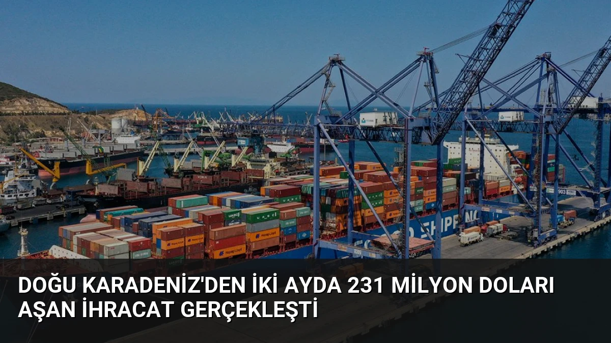 Doğu Karadeniz’den İki Ayda 231 Milyon Doları Aşan İhracat Gerçekleşti
