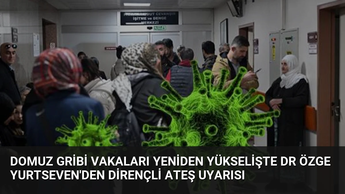 Domuz Gribi Vakaları Yeniden Yükselişte Dr Özge Yurtseven’den Dirençli Ateş Uyarısı