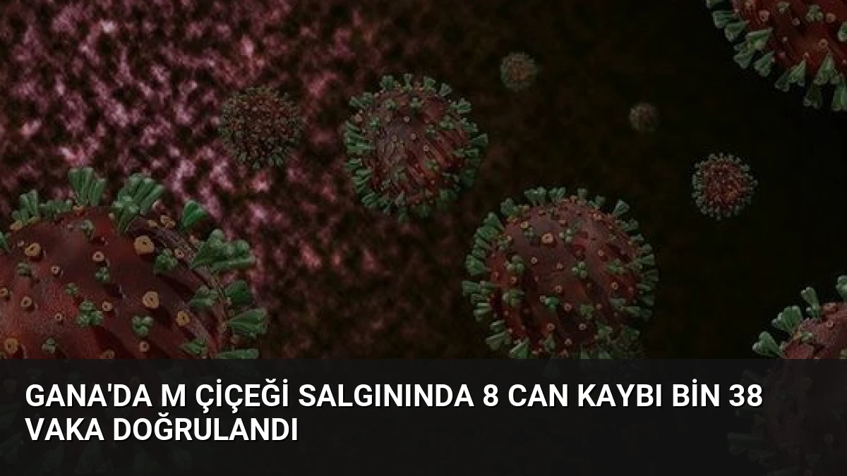 Gana’da M Çiçeği Salgınında 8 Can Kaybı Bin 38 Vaka Doğrulandı