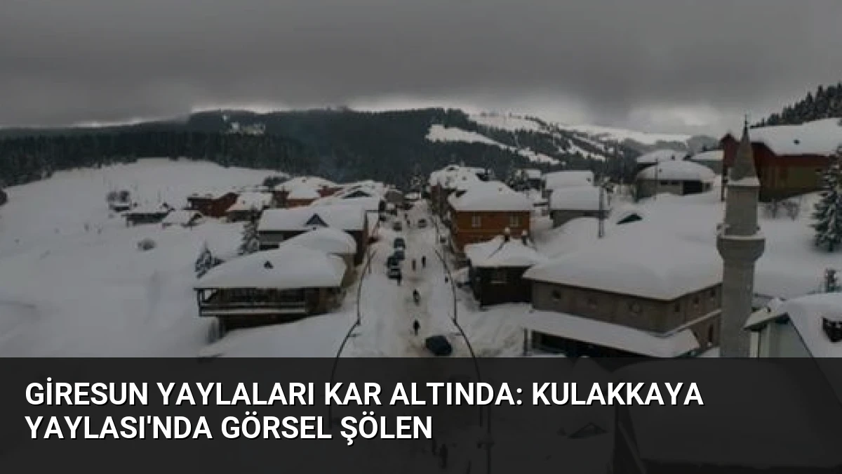 Giresun Yaylaları Kar Altında: Kulakkaya Yaylası’nda Görsel Şölen