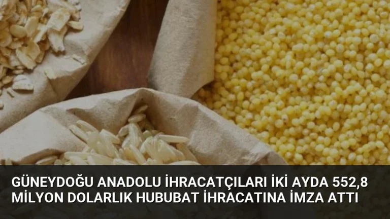 Güneydoğu Anadolu İhracatçıları İki Ayda 552,8 Milyon Dolarlık Hububat İhracatına İmza Attı