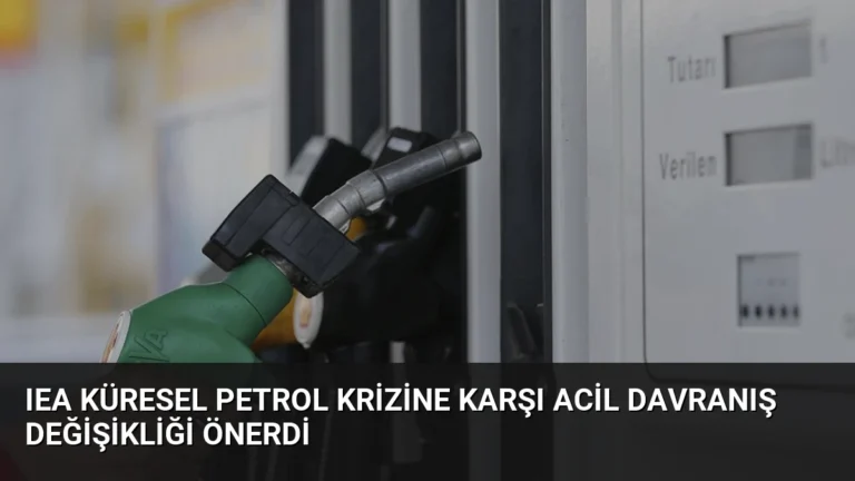 IEA Küresel Petrol Krizine Karşı Acil Davranış Değişikliği Önerdi