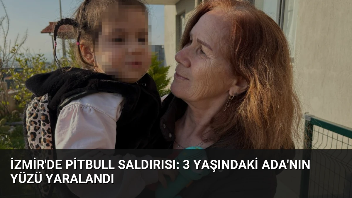 İzmir’de Pitbull Saldırısı: 3 Yaşındaki Ada’nın Yüzü Yaralandı