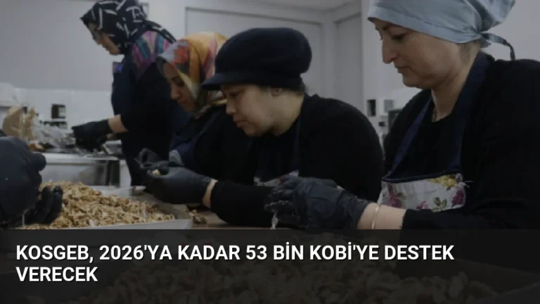 KOSGEB, 2026’ya Kadar 53 Bin KOBİ’ye Destek Verecek
