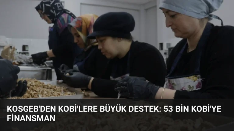 KOSGEB’den KOBİ’lere Büyük Destek: 53 Bin KOBİ’ye Finansman
