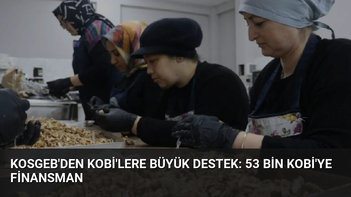 KOSGEB’den KOBİ’lere Büyük Destek: 53 Bin KOBİ’ye Finansman