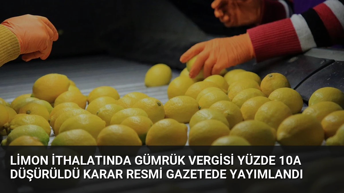 Limon İthalatında Gümrük Vergisi Yüzde 10a Düşürüldü Karar Resmi Gazetede Yayımlandı