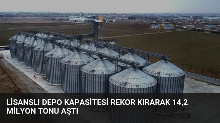 Lisanslı Depo Kapasitesi Rekor Kırarak 14,2 Milyon Tonu Aştı