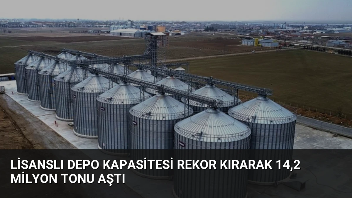 Lisanslı Depo Kapasitesi Rekor Kırarak 14,2 Milyon Tonu Aştı