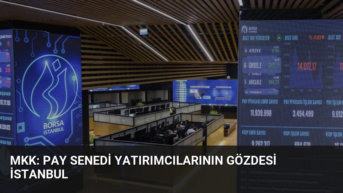 MKK: Pay Senedi Yatırımcılarının Gözdesi İstanbul