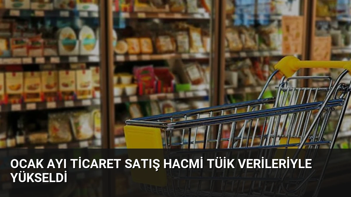 Ocak Ayı Ticaret Satış Hacmi TÜİK Verileriyle Yükseldi