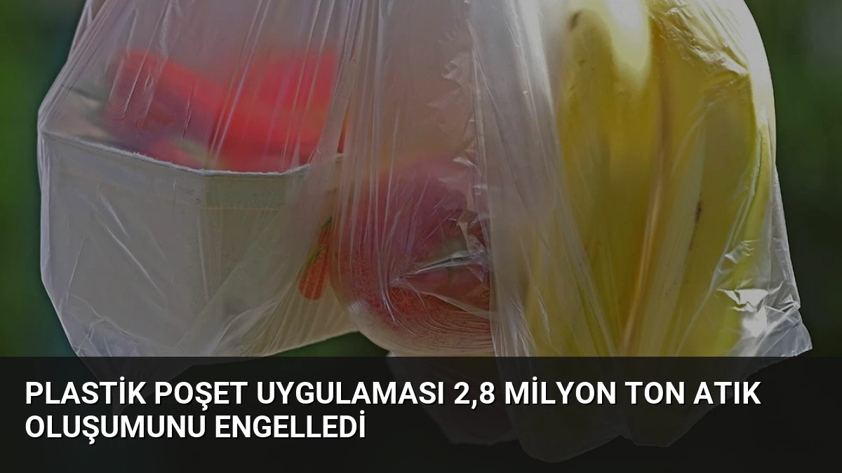 Plastik Poşet Uygulaması 2,8 Milyon Ton Atık Oluşumunu Engelledi