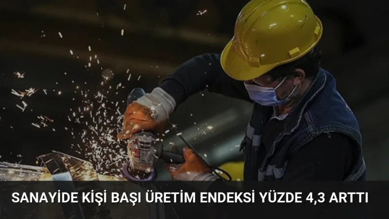 Sanayide Kişi Başı Üretim Endeksi Yüzde 4,3 Arttı