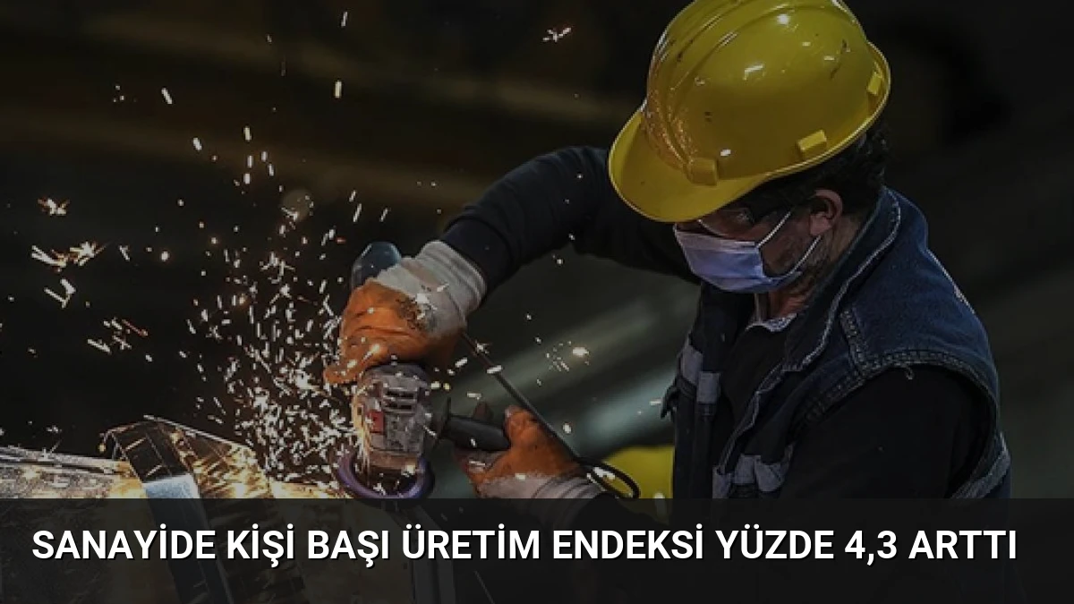 Sanayide Kişi Başı Üretim Endeksi Yüzde 4,3 Arttı