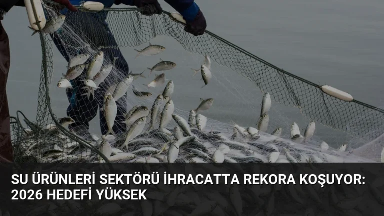 Su Ürünleri Sektörü İhracatta Rekora Koşuyor: 2026 Hedefi Yüksek