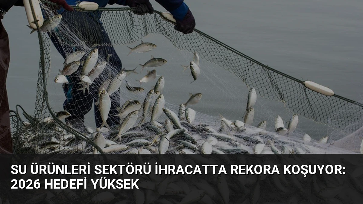 Su Ürünleri Sektörü İhracatta Rekora Koşuyor: 2026 Hedefi Yüksek