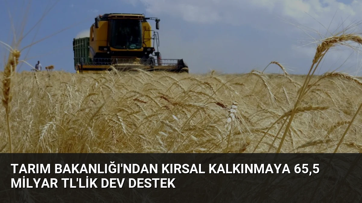 Tarım Bakanlığı’ndan Kırsal Kalkınmaya 65,5 Milyar TL’lik Dev Destek
