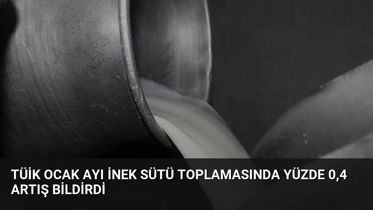 TÜİK Ocak Ayı İnek Sütü Toplamasında Yüzde 0,4 Artış Bildirdi
