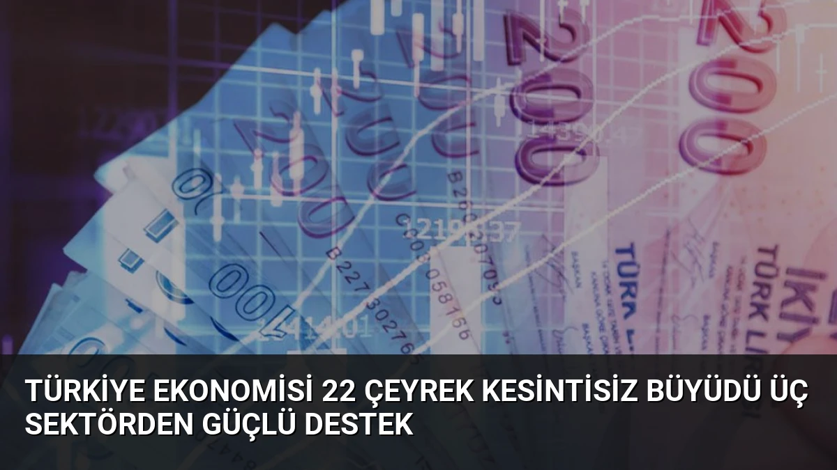 Türkiye Ekonomisi 22 Çeyrek Kesintisiz Büyüdü Üç Sektörden Güçlü Destek