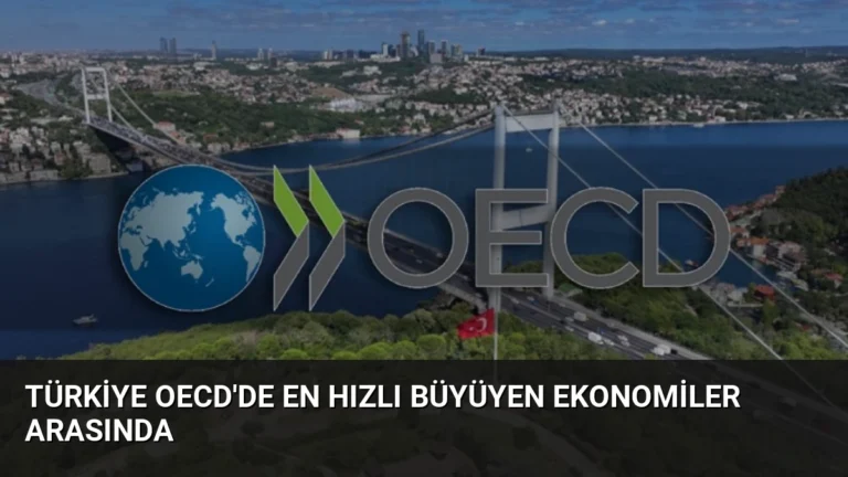 Türkiye OECD’de En Hızlı Büyüyen Ekonomiler Arasında