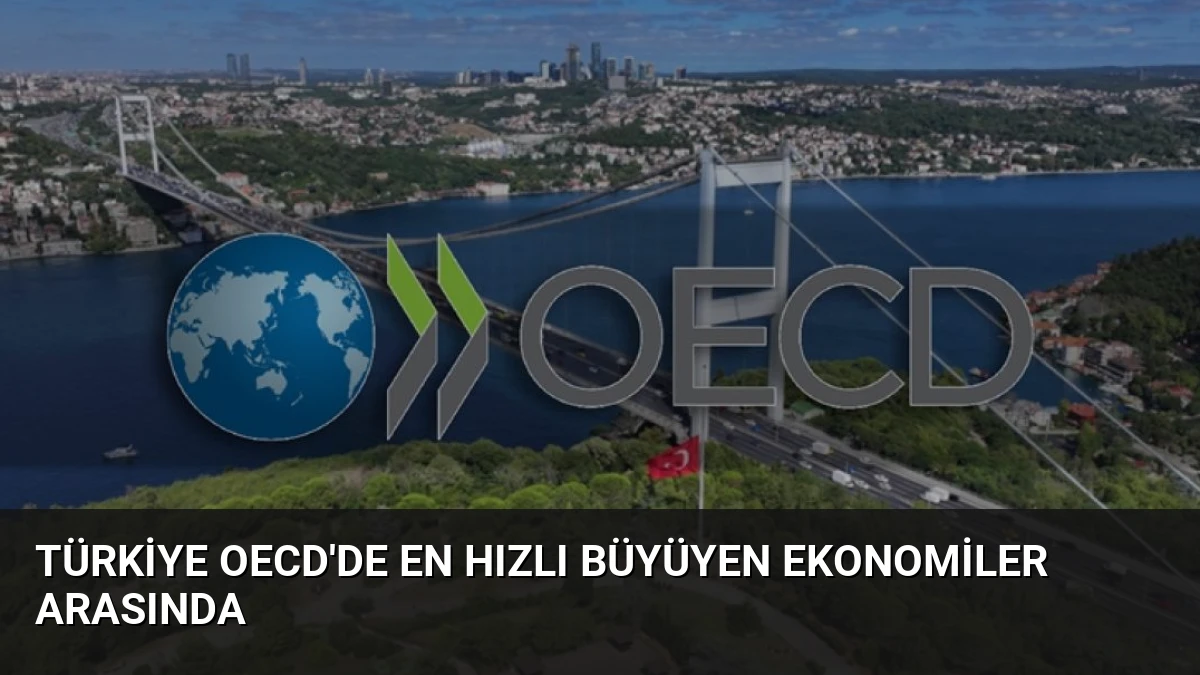 Türkiye OECD’de En Hızlı Büyüyen Ekonomiler Arasında