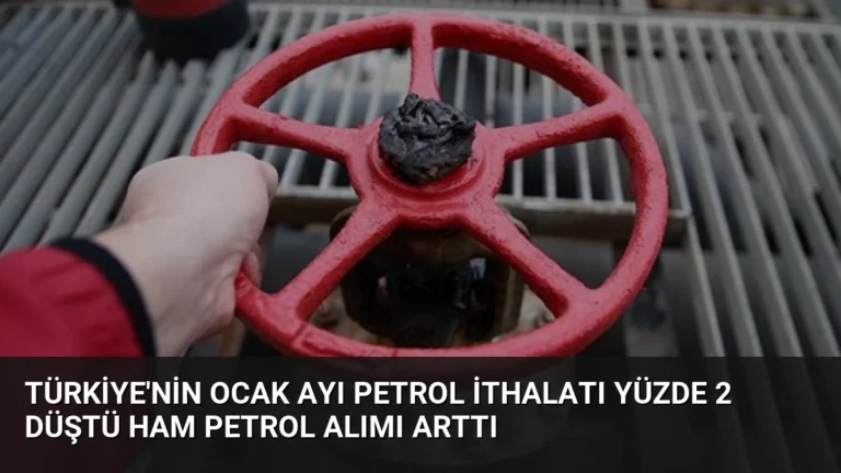 Türkiye’nin Ocak Ayı Petrol İthalatı Yüzde 2 Düştü Ham Petrol Alımı Arttı